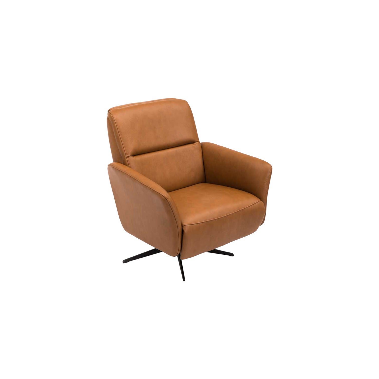 Riva Cognac Leather Power Motion Recliner